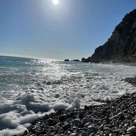 Apartments Villa Simonovic Petrovac Εξωτερικό φωτογραφία