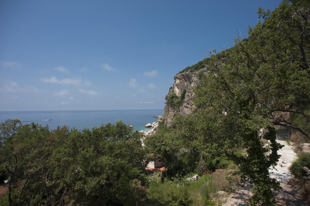 Apartments Villa Simonovic Petrovac Εξωτερικό φωτογραφία